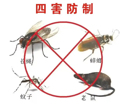 床墊易滋生吸血臭蟲(chóng)，怎樣預(yù)防呢？